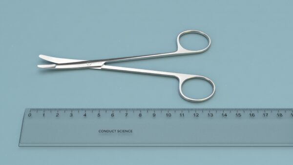 Ragnell Dissecting Scissors