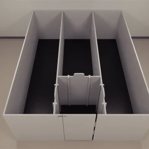 Pig Delayed Non-Match To Sample (DNMS) Task