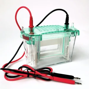 Vertical Electrophoresis System