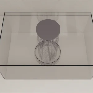 Pawedness Trait Test (PaTRaT)