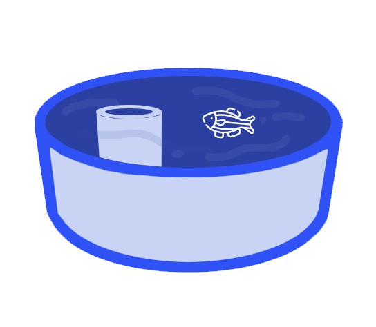 Visual Water Maze for zebrafish spatial memory in behavioral neuroscience