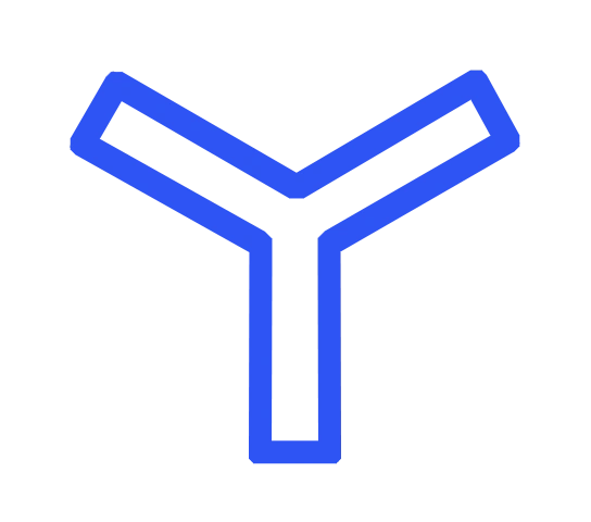 Zebrafish Y Maze for spontaneous alternation behavior testing
