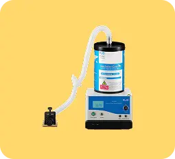 Alt text: Complete rodent anesthesia setup with gas canister, vaporizer, nose cones, and induction chamber.