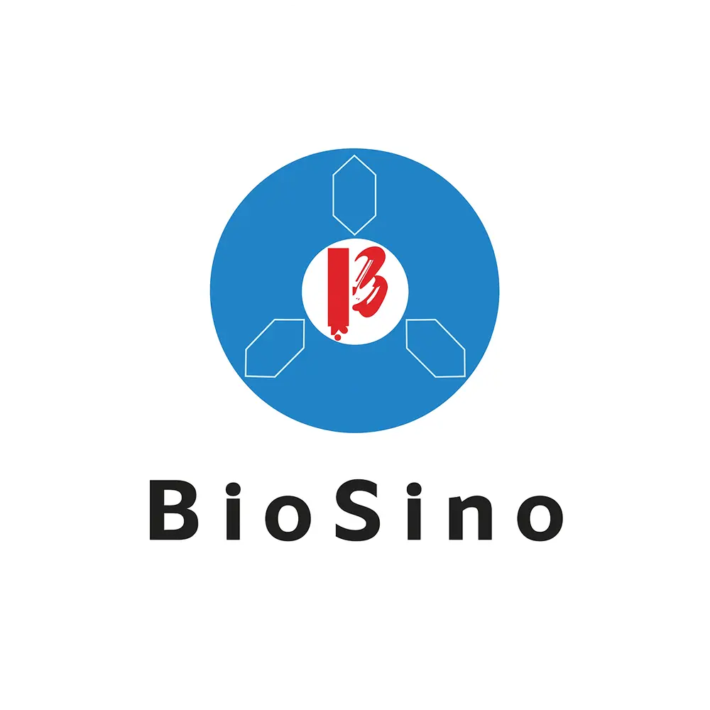 BioSino biotechnology company logo representing medical diagnostics and innovation