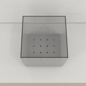 Neuwirth Hole Board Test