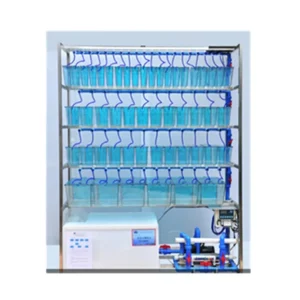 4 Layer Laboratory Aquarium Rack